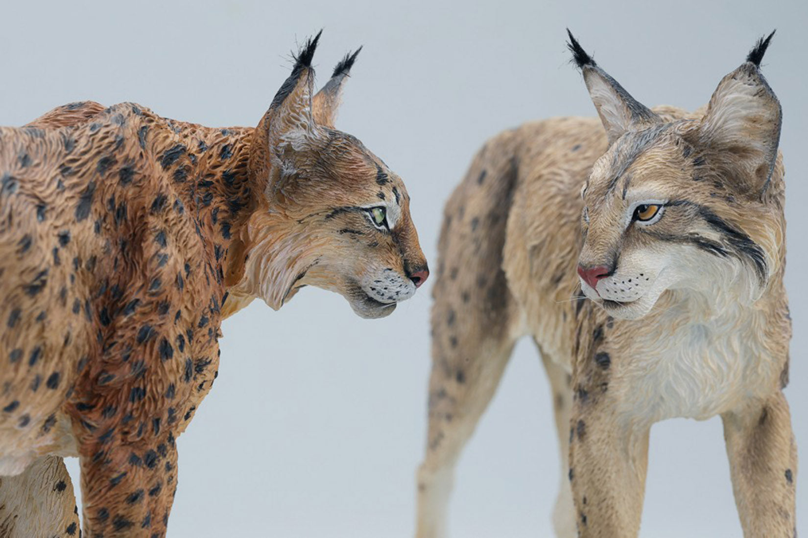 JXK Studio Lynx Model