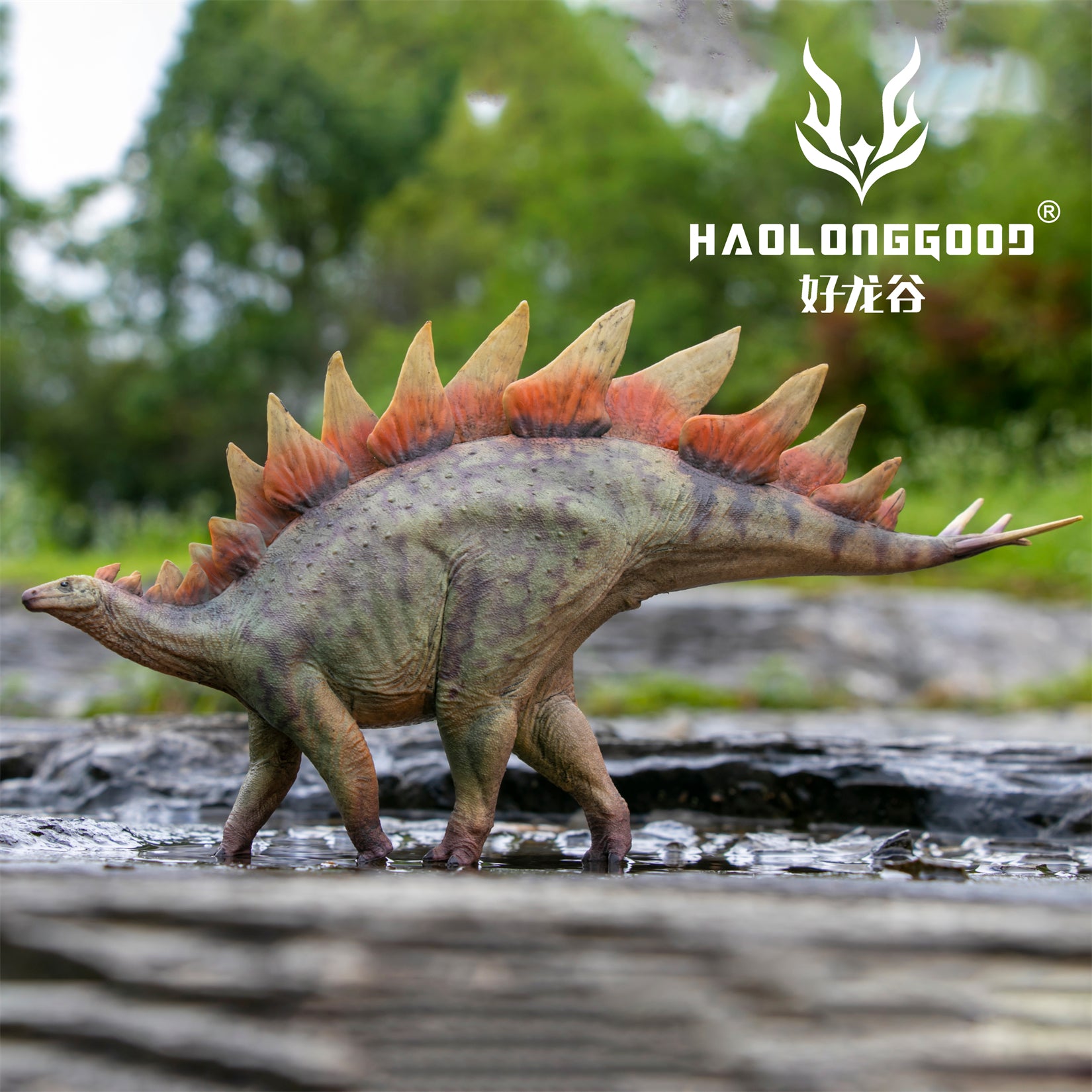 HAOLONGGOOD 1:35 Scale Stegosaurus Model