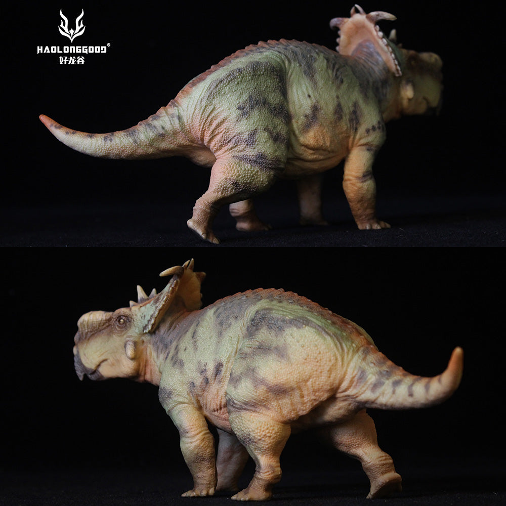 HAOLONGGOOD 1:35 Scale Pachyrhinosaurus Model