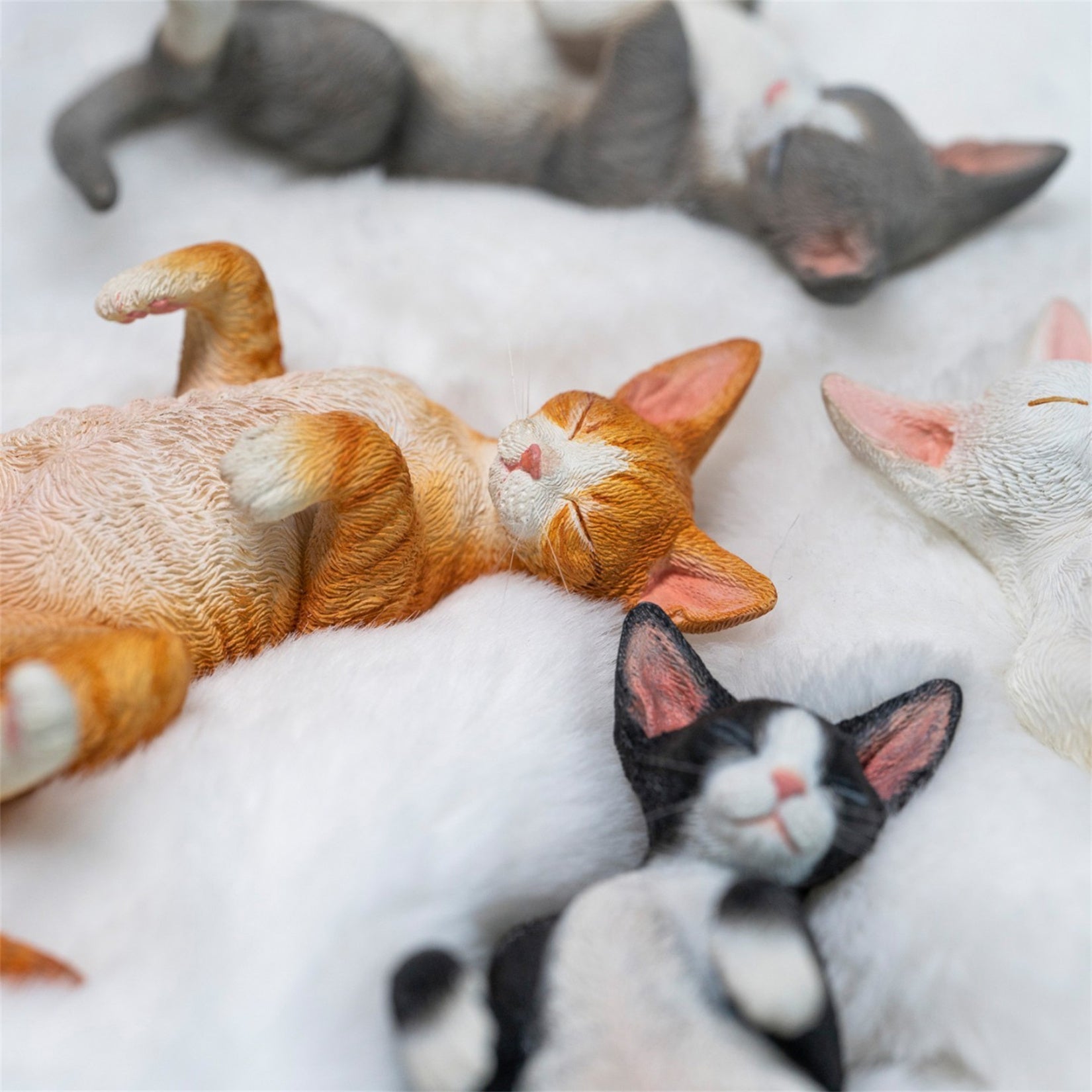 JXK Studio Resting Little Devon Rex Model