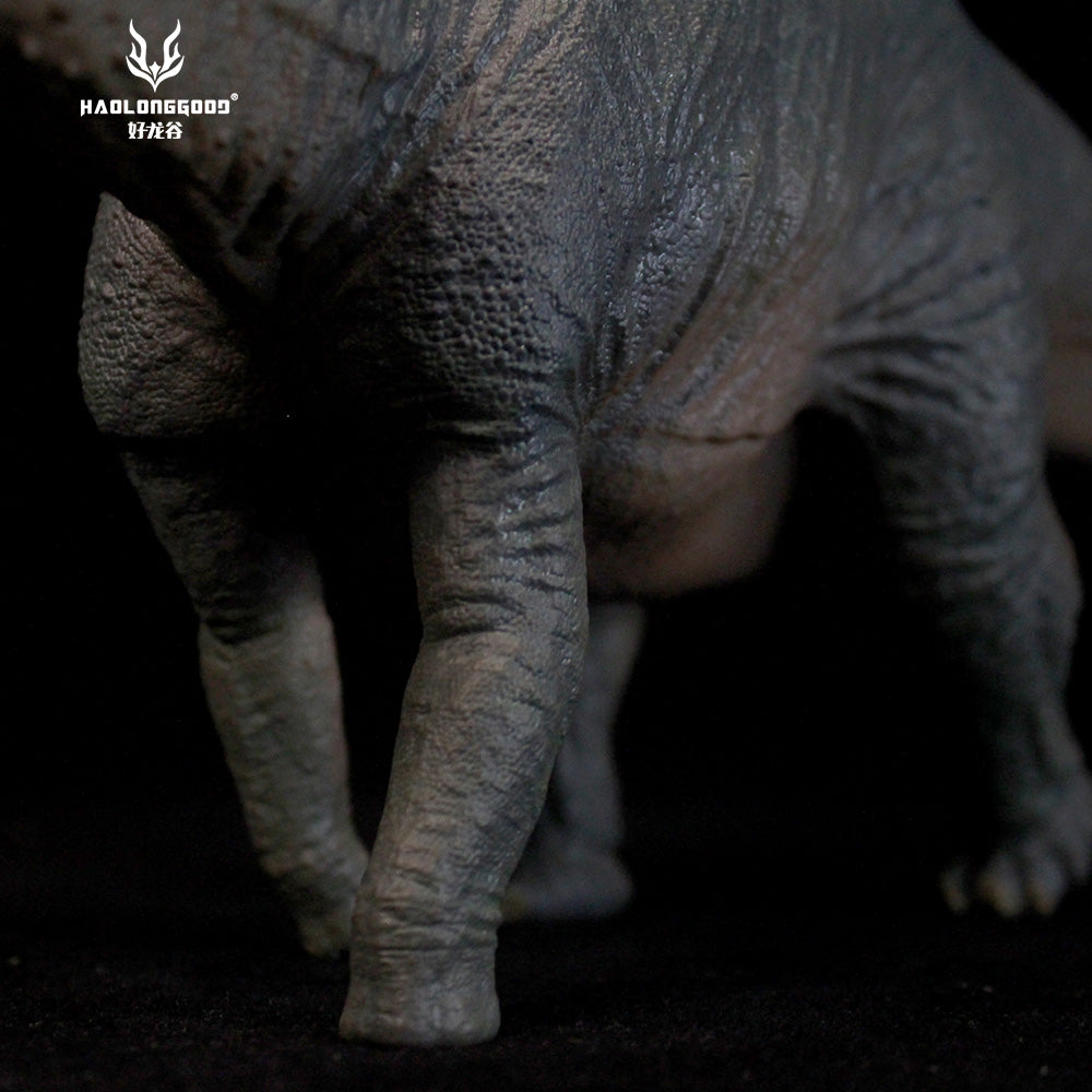 HAOLONGGOOD 1:35 Scale Apatosaurus Model