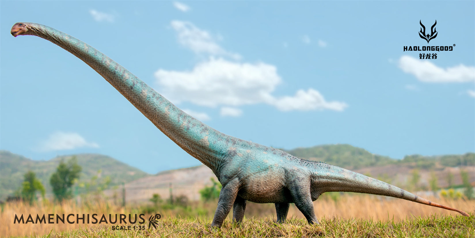 HAOLONGGOOD 1:35 Scale Mamenchisaurus Model