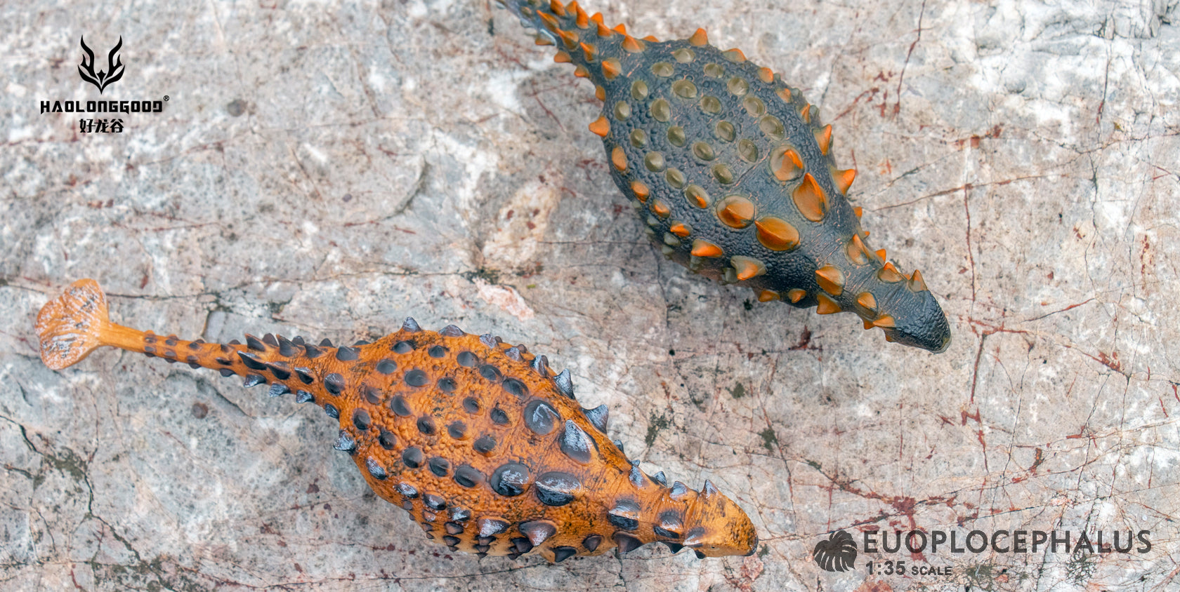 HAOLONGGOOD 1:35 Scale Euoplocephalus Model