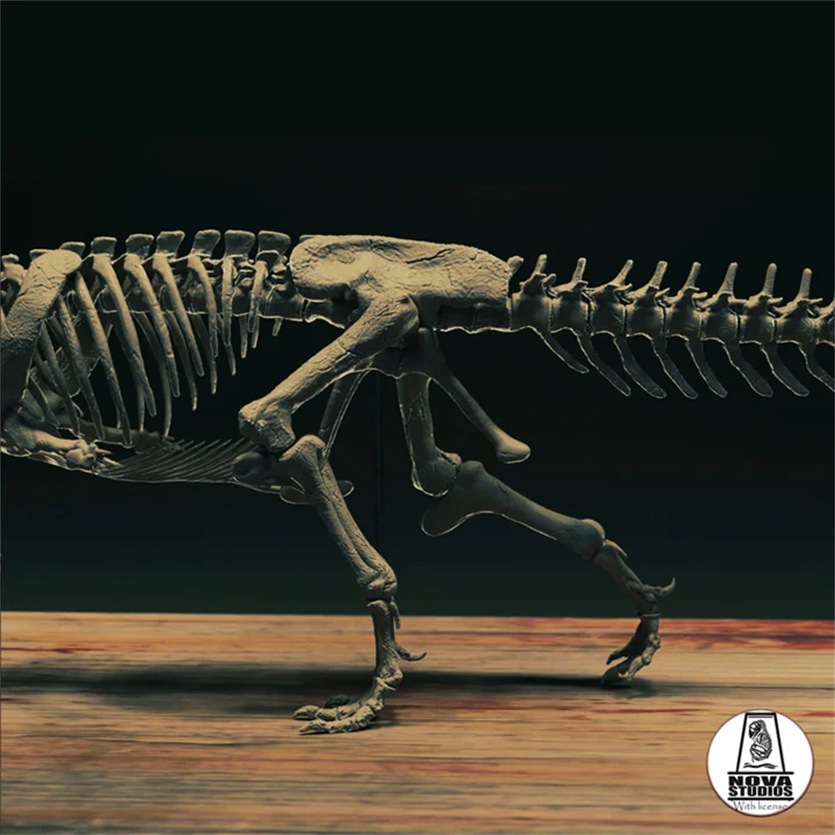 Nova Studio 1/6 Scale Majungasaurus crenatissimus keleton Model