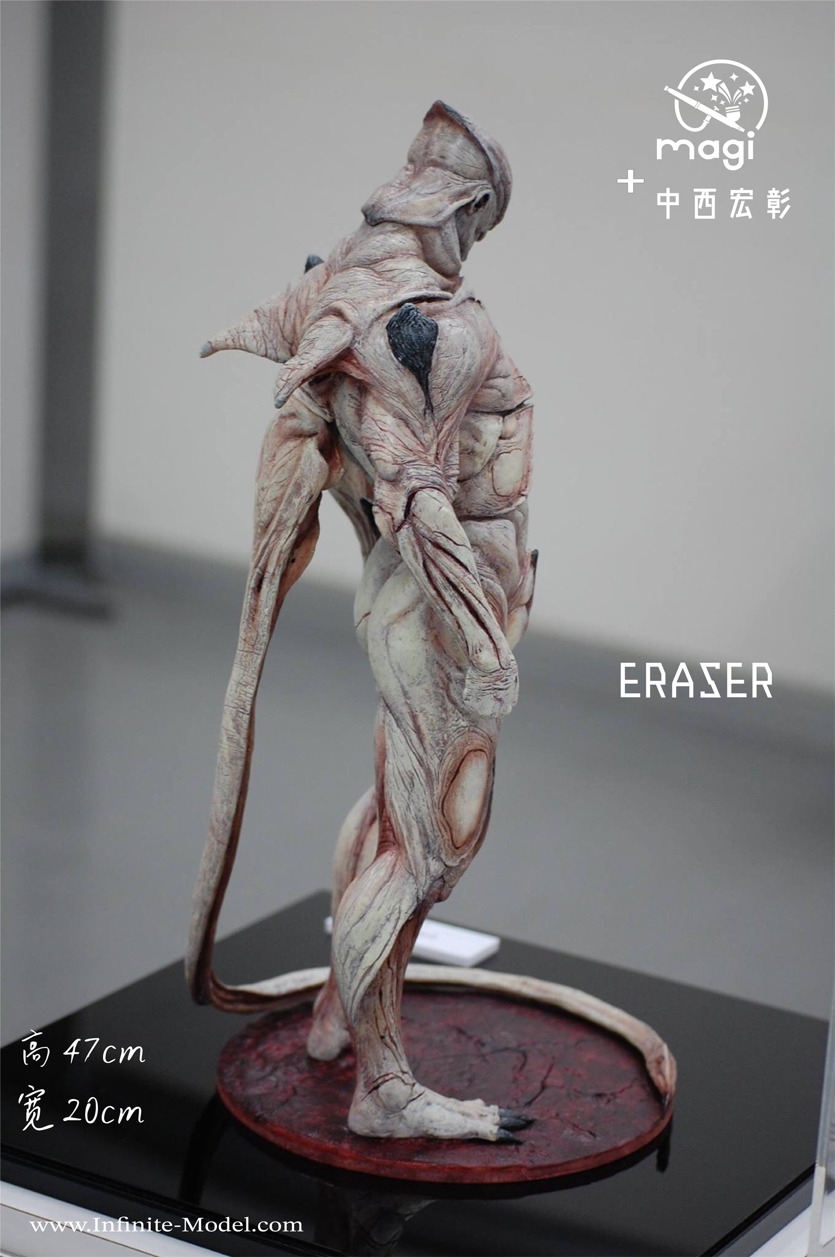 Infinite Model Eraser Figure