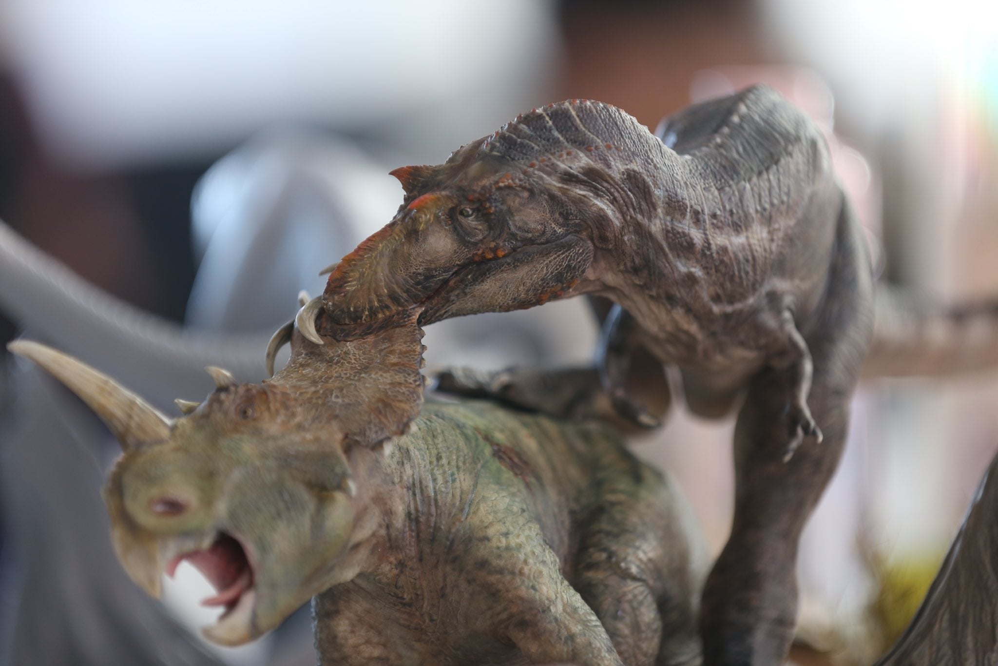Greenhouse Revolution Studio 1/15 Scale Gorgosaurus Hunt Centrosaurus Scene Model