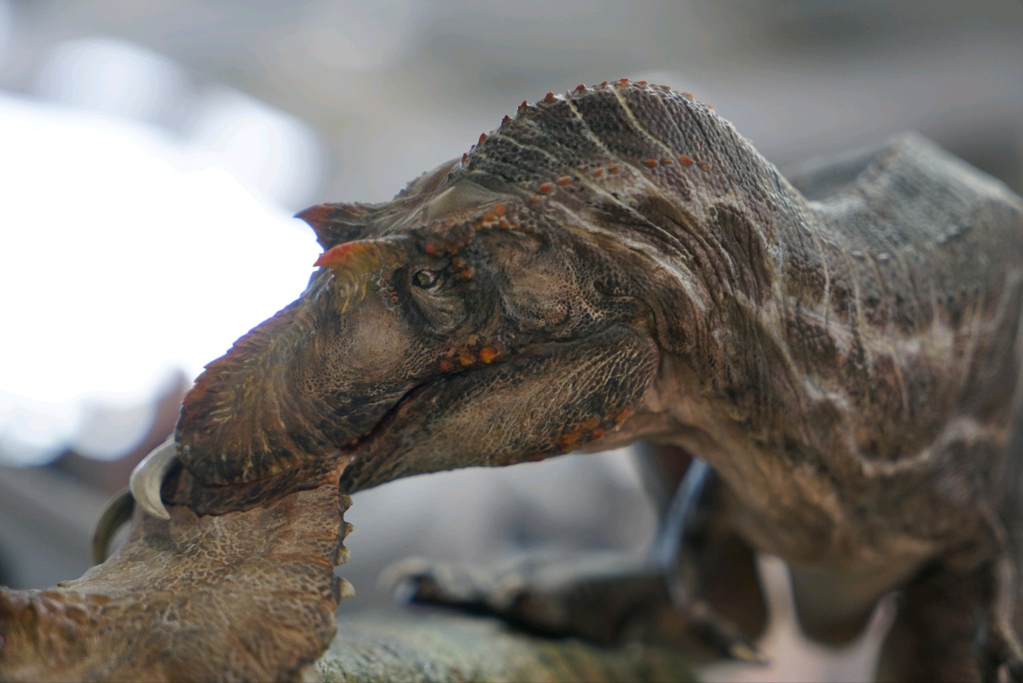 Greenhouse Revolution Studio 1/15 Scale Gorgosaurus Hunt Centrosaurus Scene Model