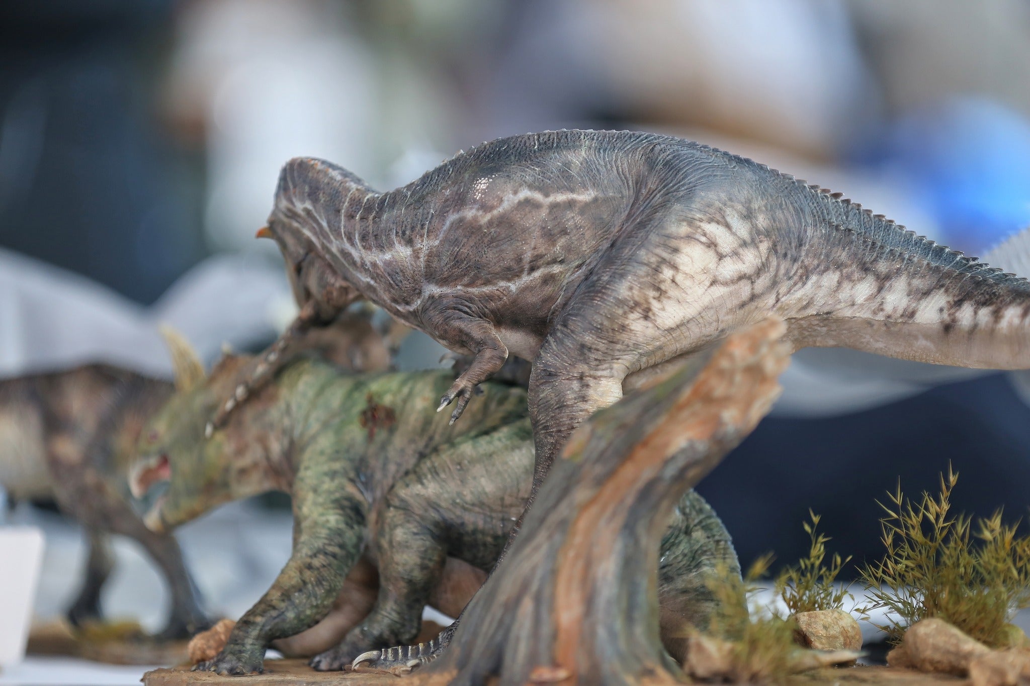 Greenhouse Revolution Studio 1/15 Scale Gorgosaurus Hunt Centrosaurus Scene Model
