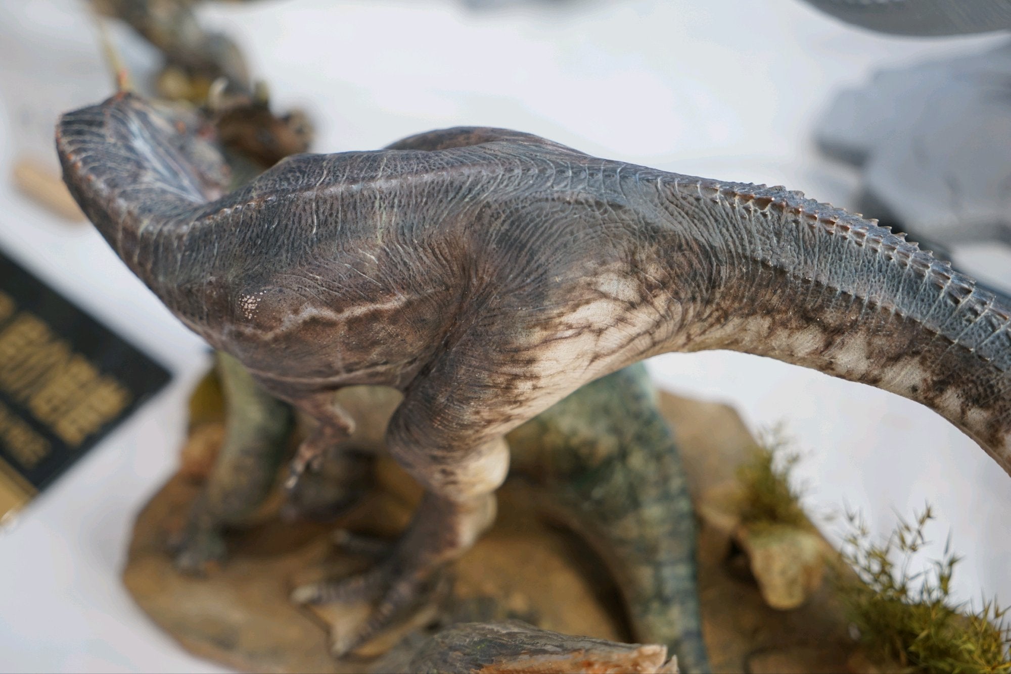Greenhouse Revolution Studio 1/15 Scale Gorgosaurus Hunt Centrosaurus Scene Model