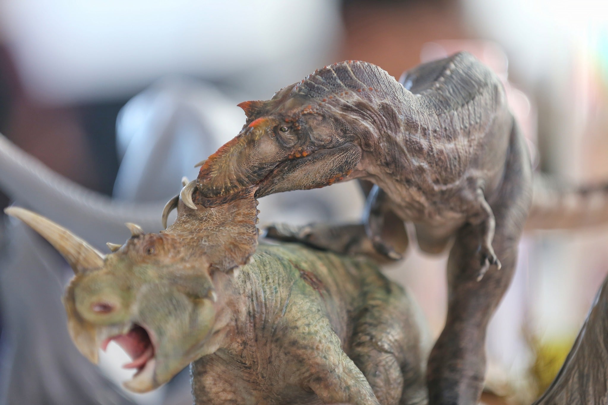 Greenhouse Revolution Studio 1/15 Scale Gorgosaurus Hunt Centrosaurus Scene Model