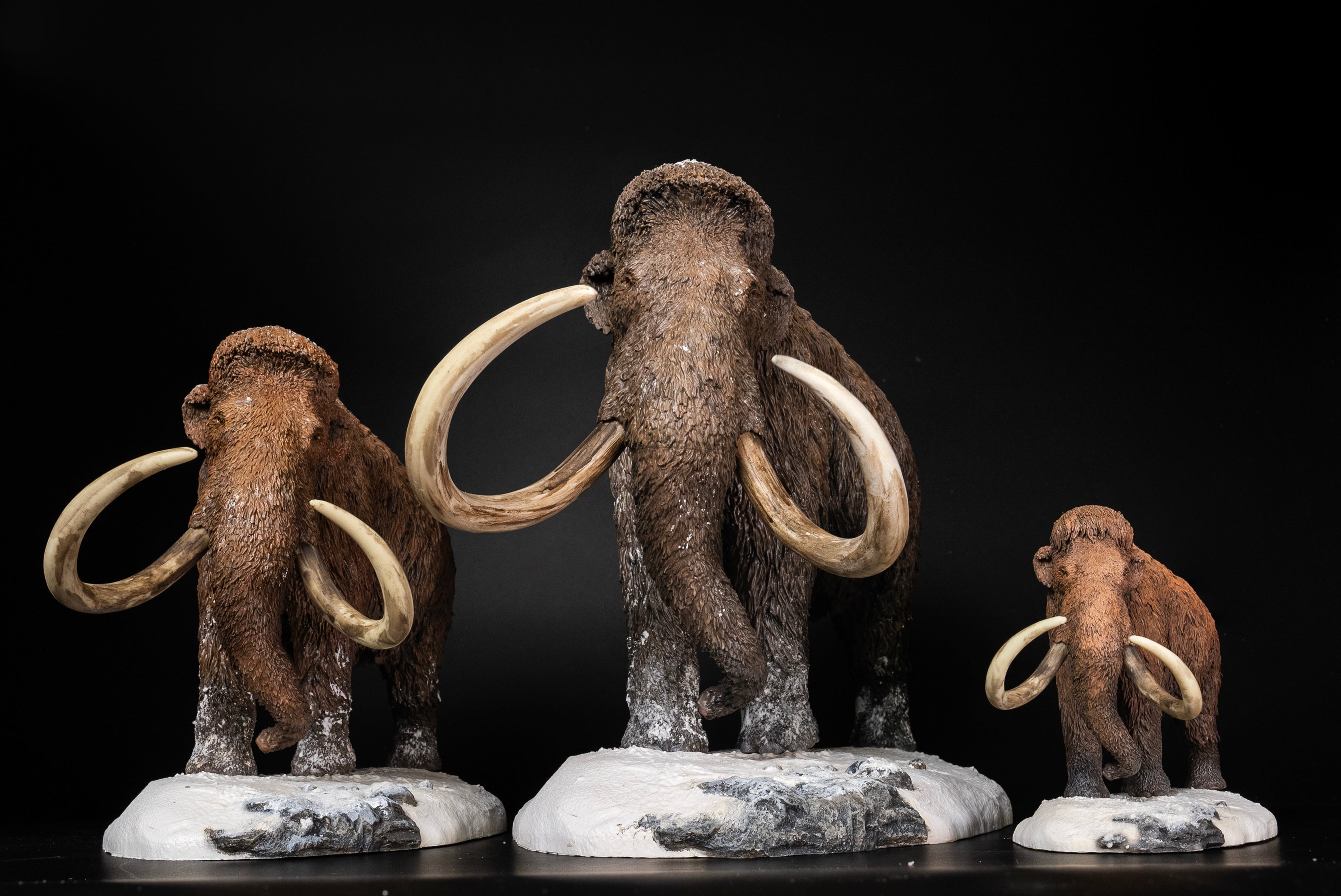 De CLAY Studio Woolly mammoth Model