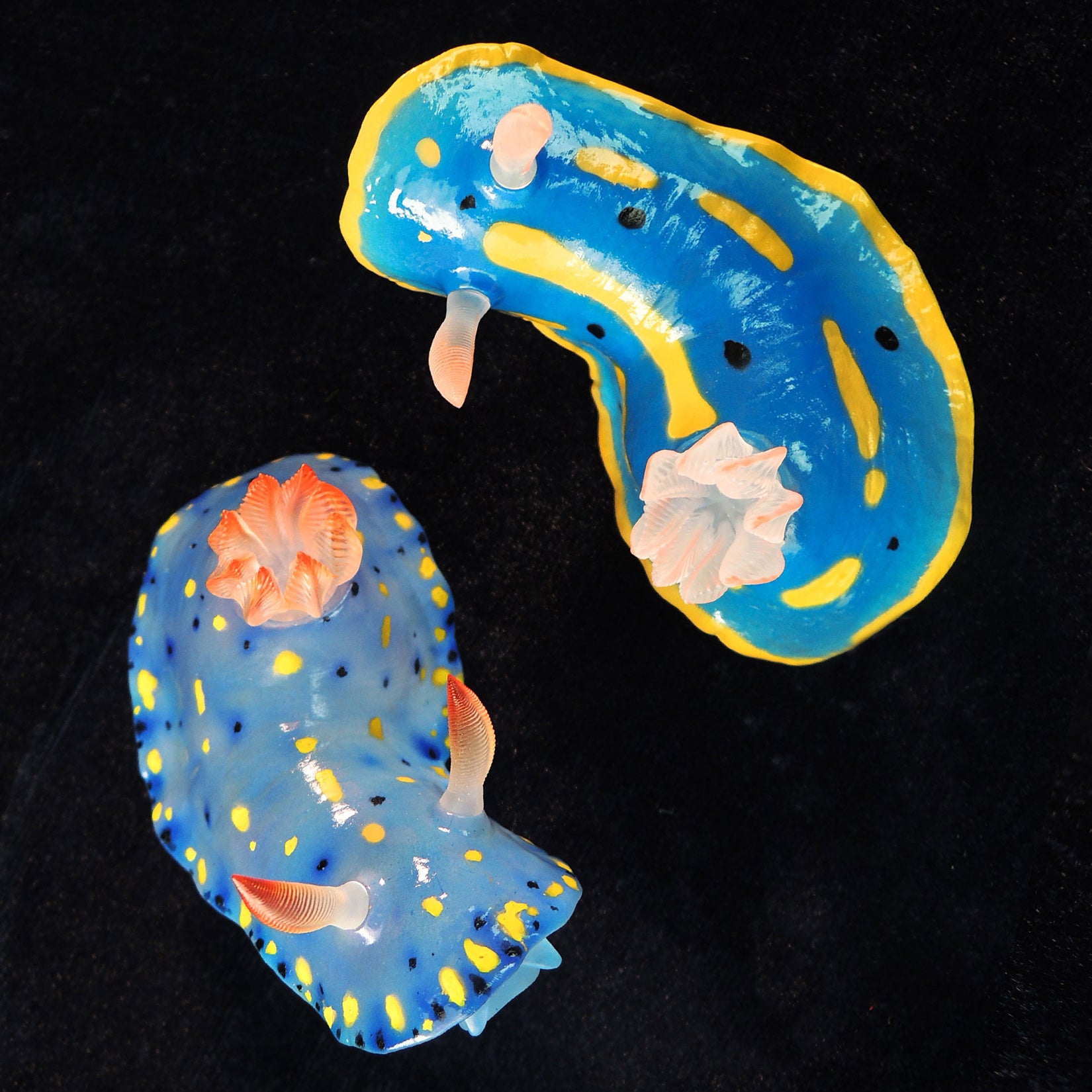 Sea Sprite 03 Series Model