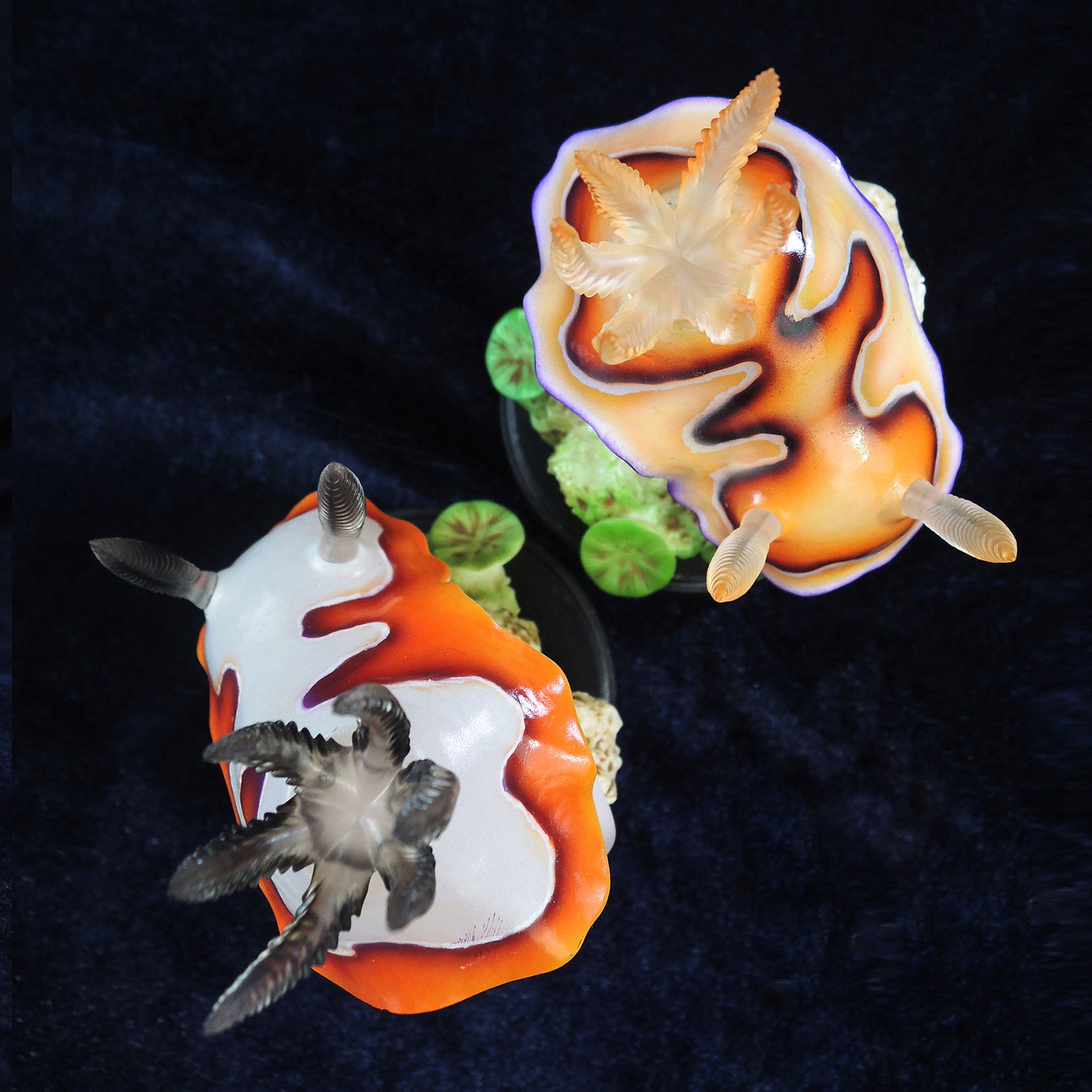 Sea Sprite 03 Series Model