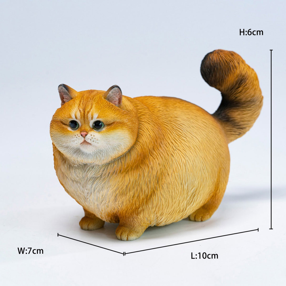 JXK Chubby Kitty Cat Model