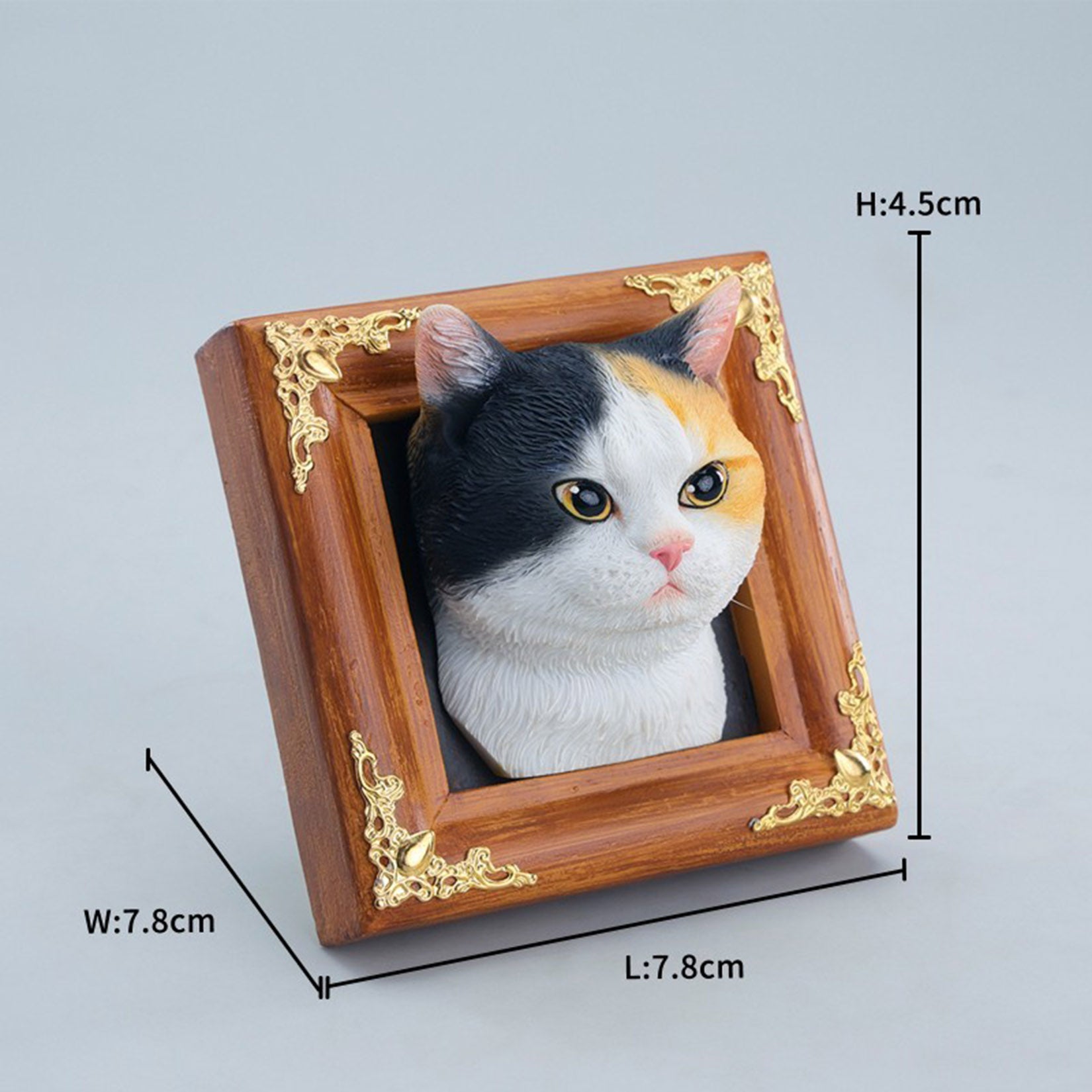 JXK Studio Gentle-eyed Country Cat Model