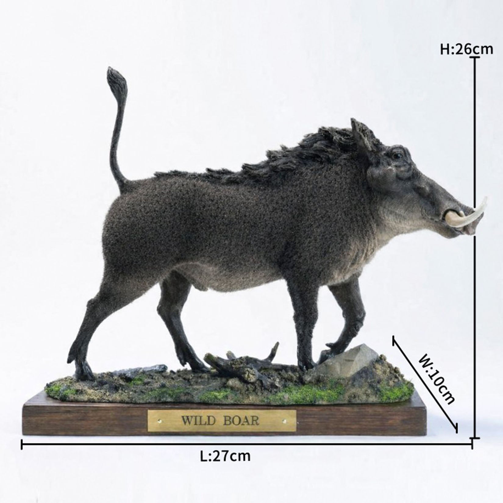JXK Studio Warthog Animal Model