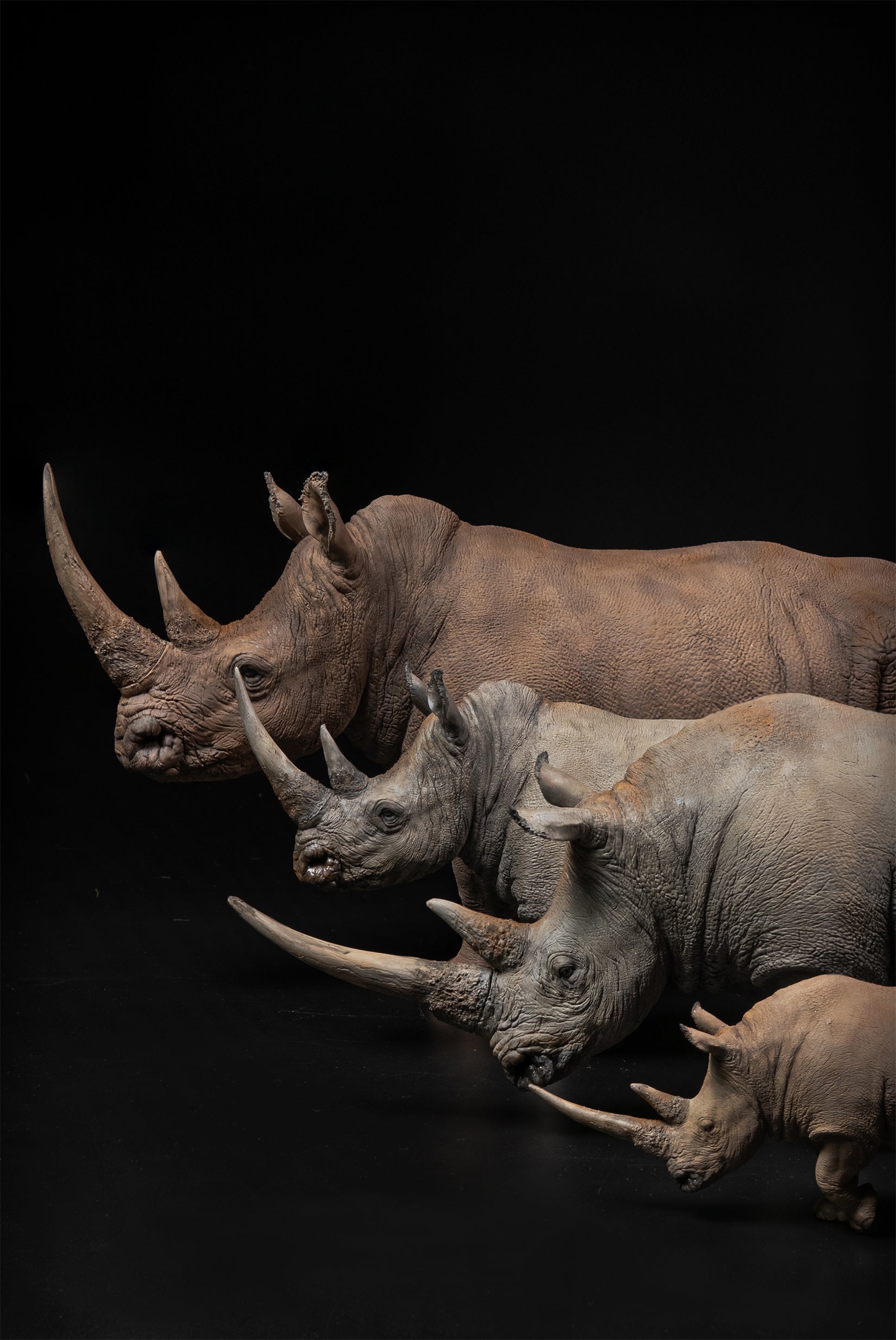 De CLAY Studio White rhinoceros Model