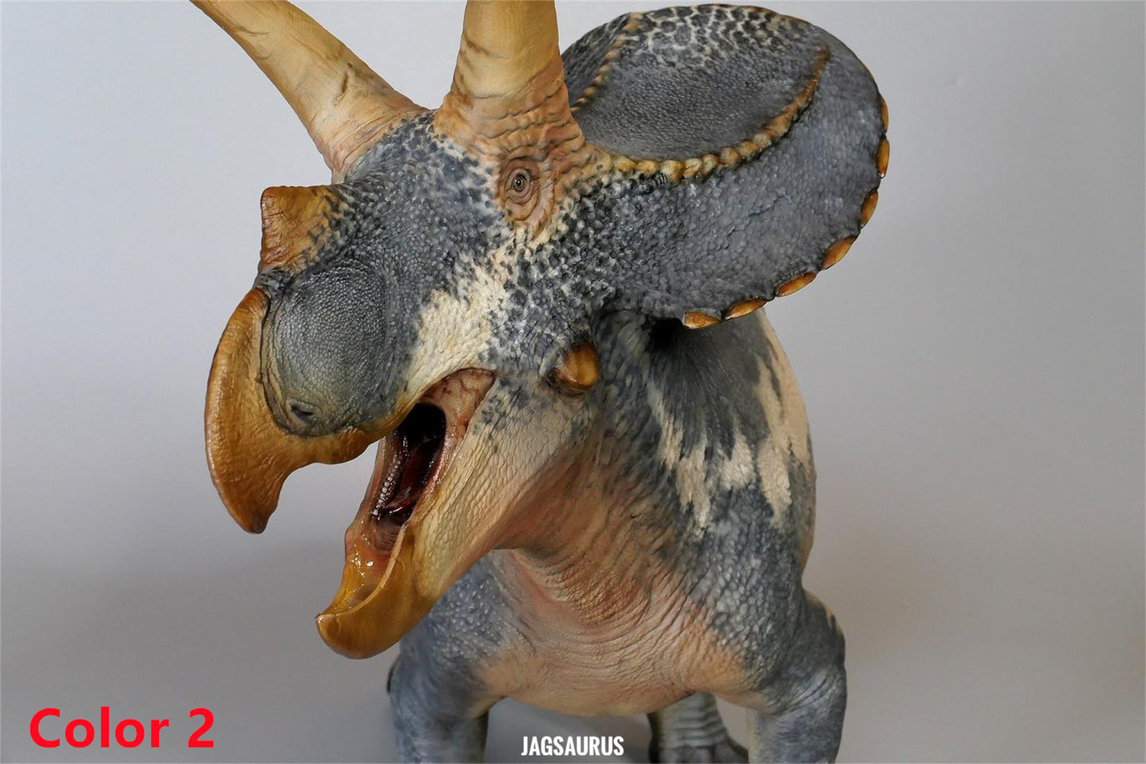 De CLAY Studio Torosaurus latus 2.0 Model