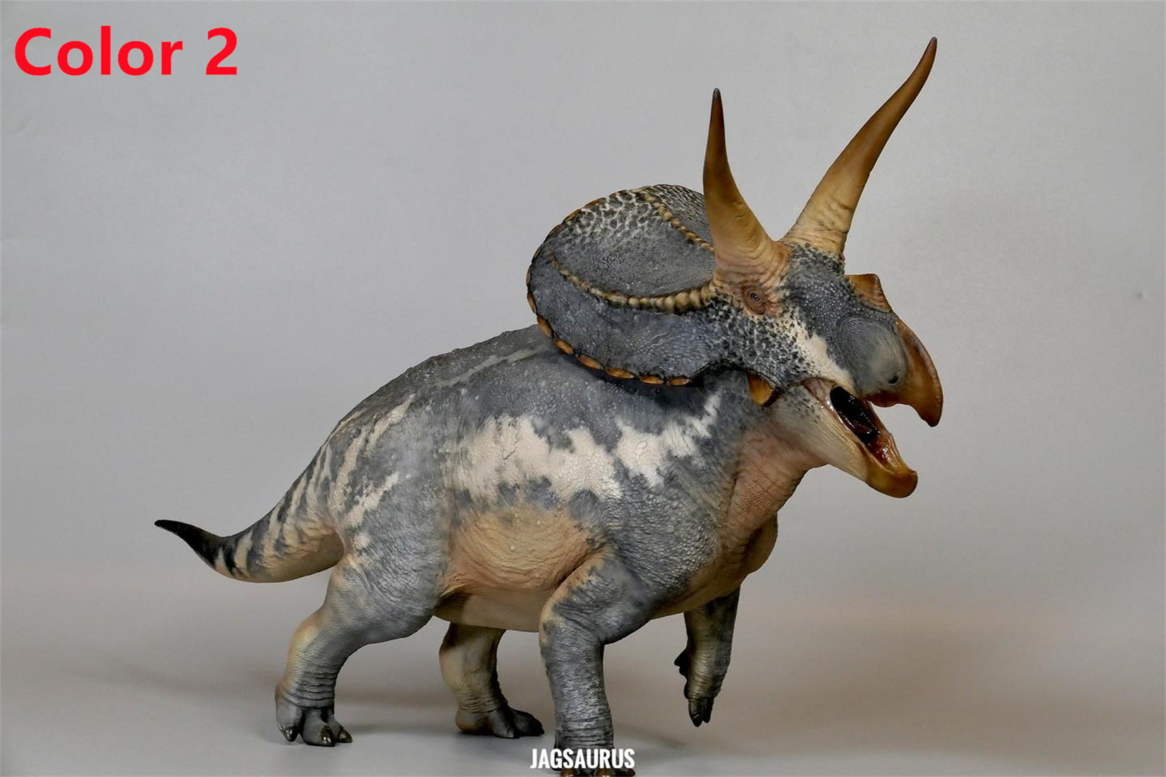 De CLAY Studio Torosaurus latus 2.0 Model