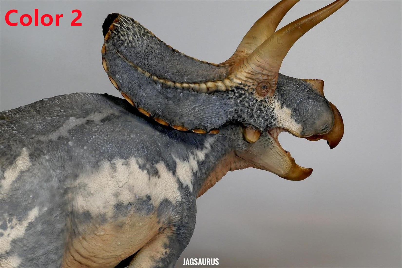 De CLAY Studio Torosaurus latus 2.0 Model