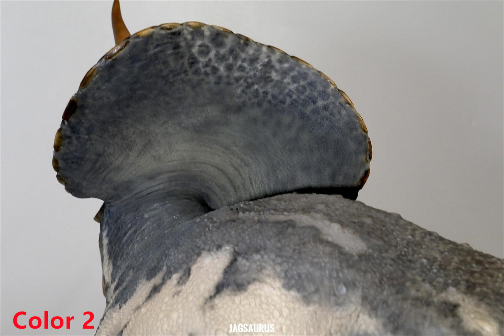 De CLAY Studio Torosaurus latus 2.0 Model