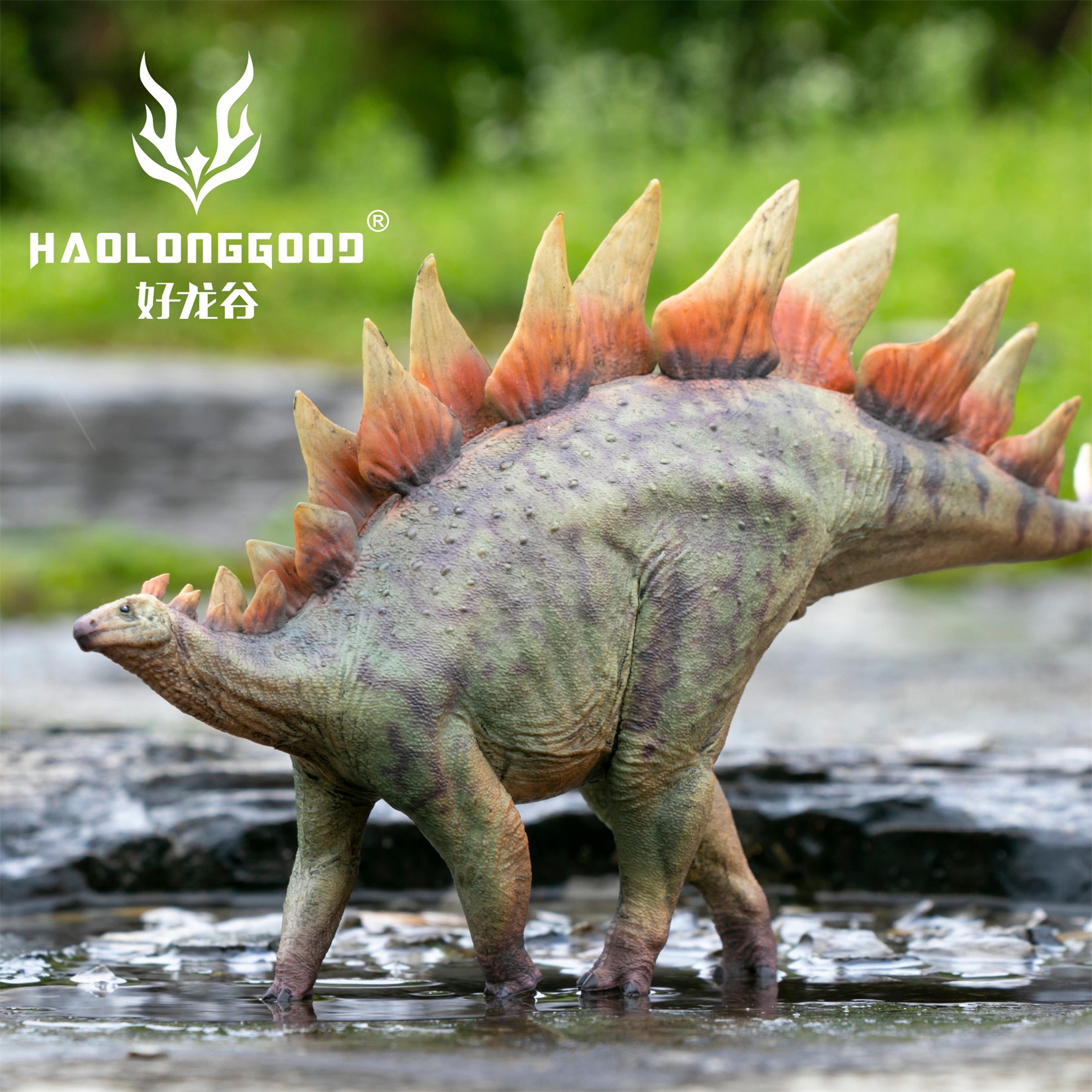 HAOLONGGOOD 1:35 Scale Stegosaurus Model