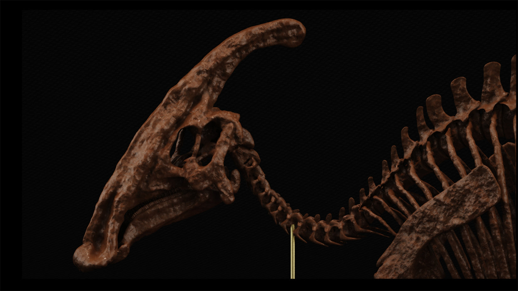 Nova Studio 1/15 Scale Parasaurolophus walkeri Skeleton Model