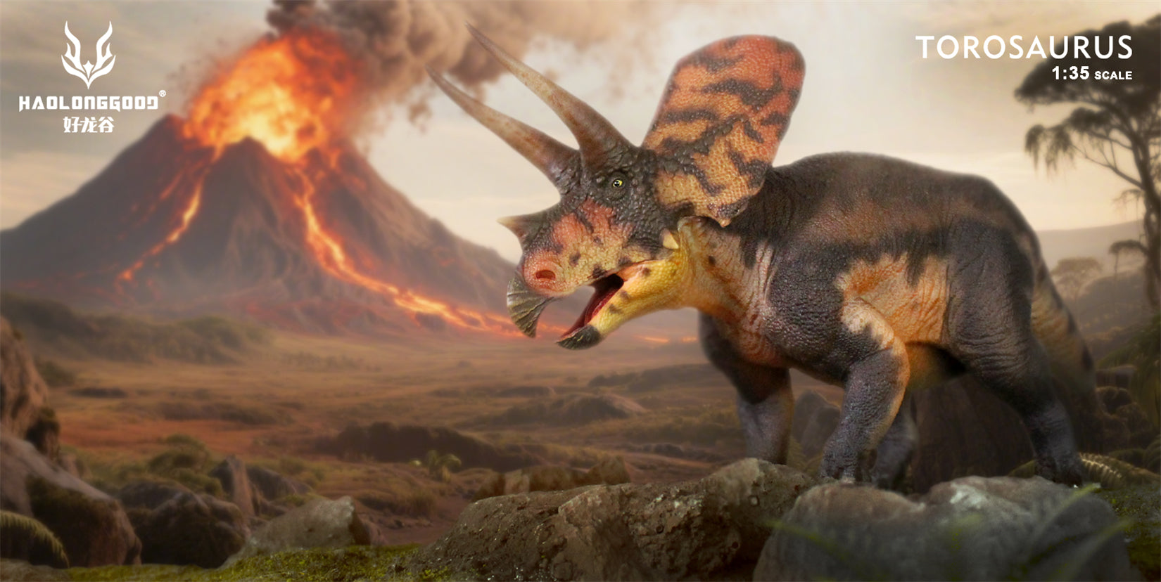 HAOLONGGOOD 1:35 Scale Torosaurus Model
