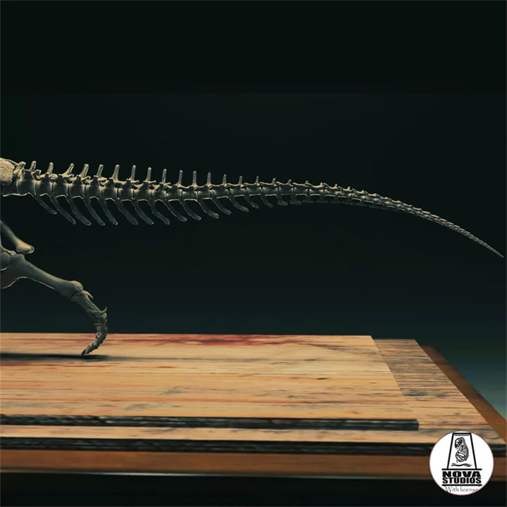 Nova Studio 1/6 Scale Majungasaurus crenatissimus keleton Model