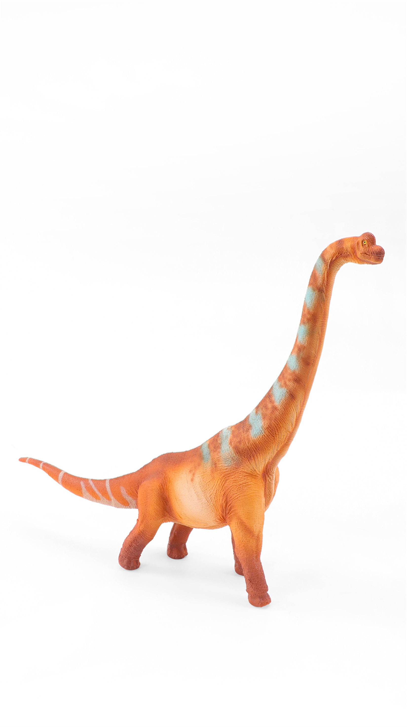 RECUR 1:65 Scale Brachiosaurus Elmer Model
