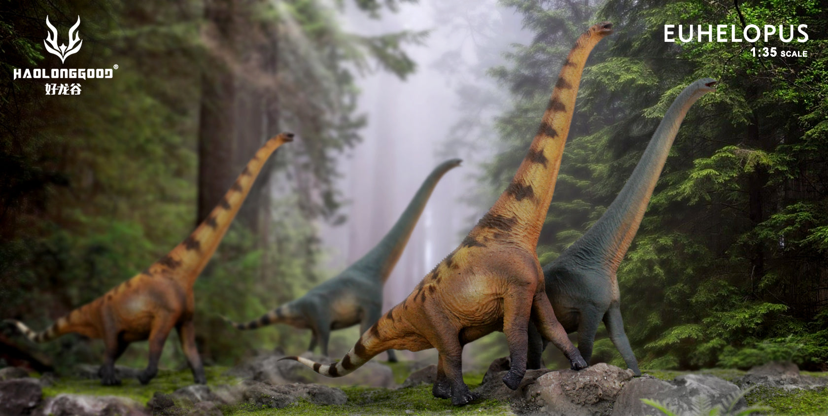 HAOLONGGOOD 1:35 Scale Euhelopus Model