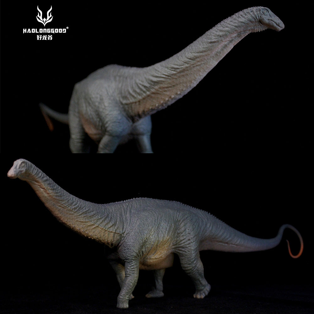 HAOLONGGOOD 1:35 Scale Apatosaurus Model