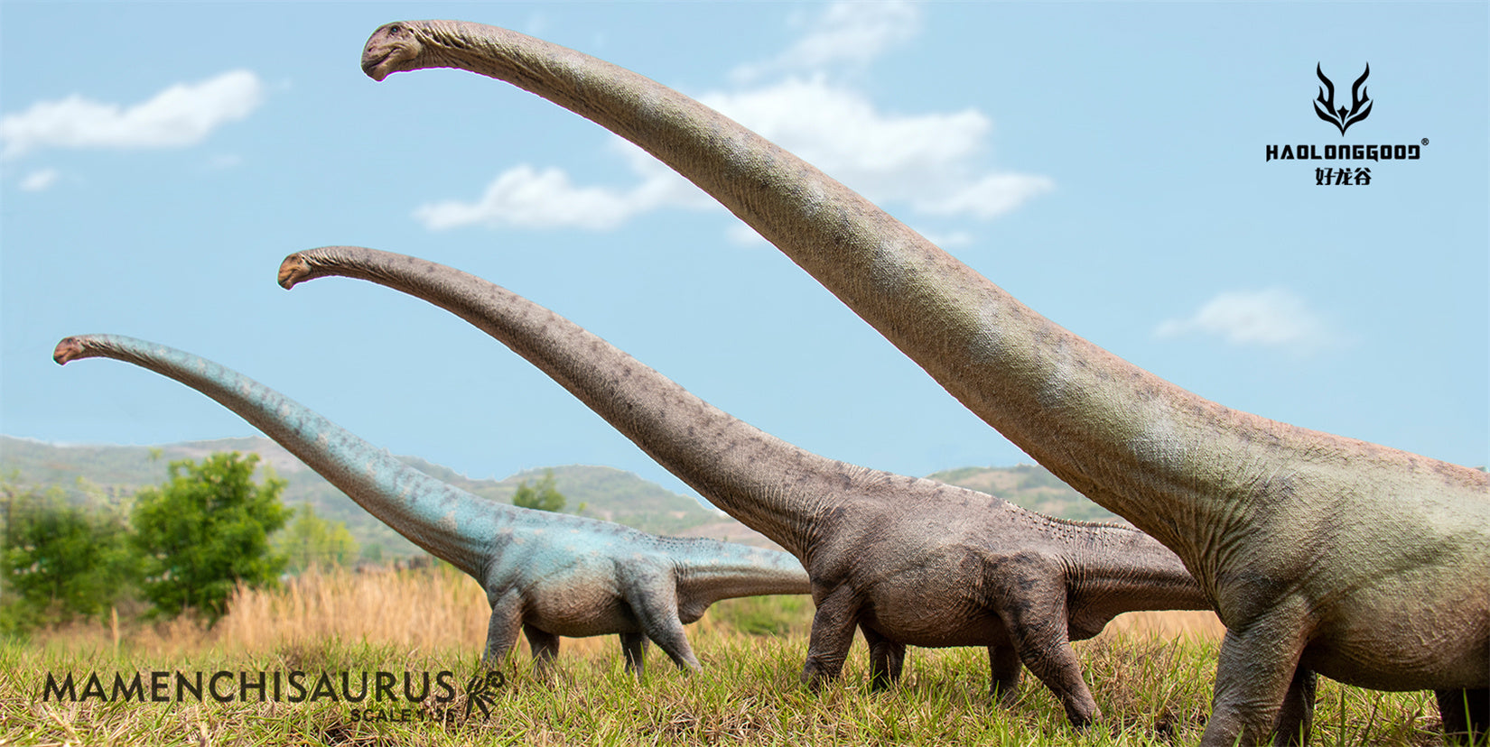 HAOLONGGOOD 1:35 Scale Mamenchisaurus Model