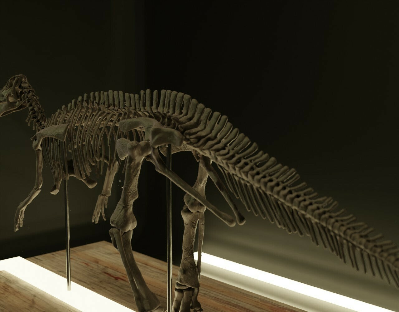 Nova Studio 1/20 Scale Edmontosaurus keleton Model