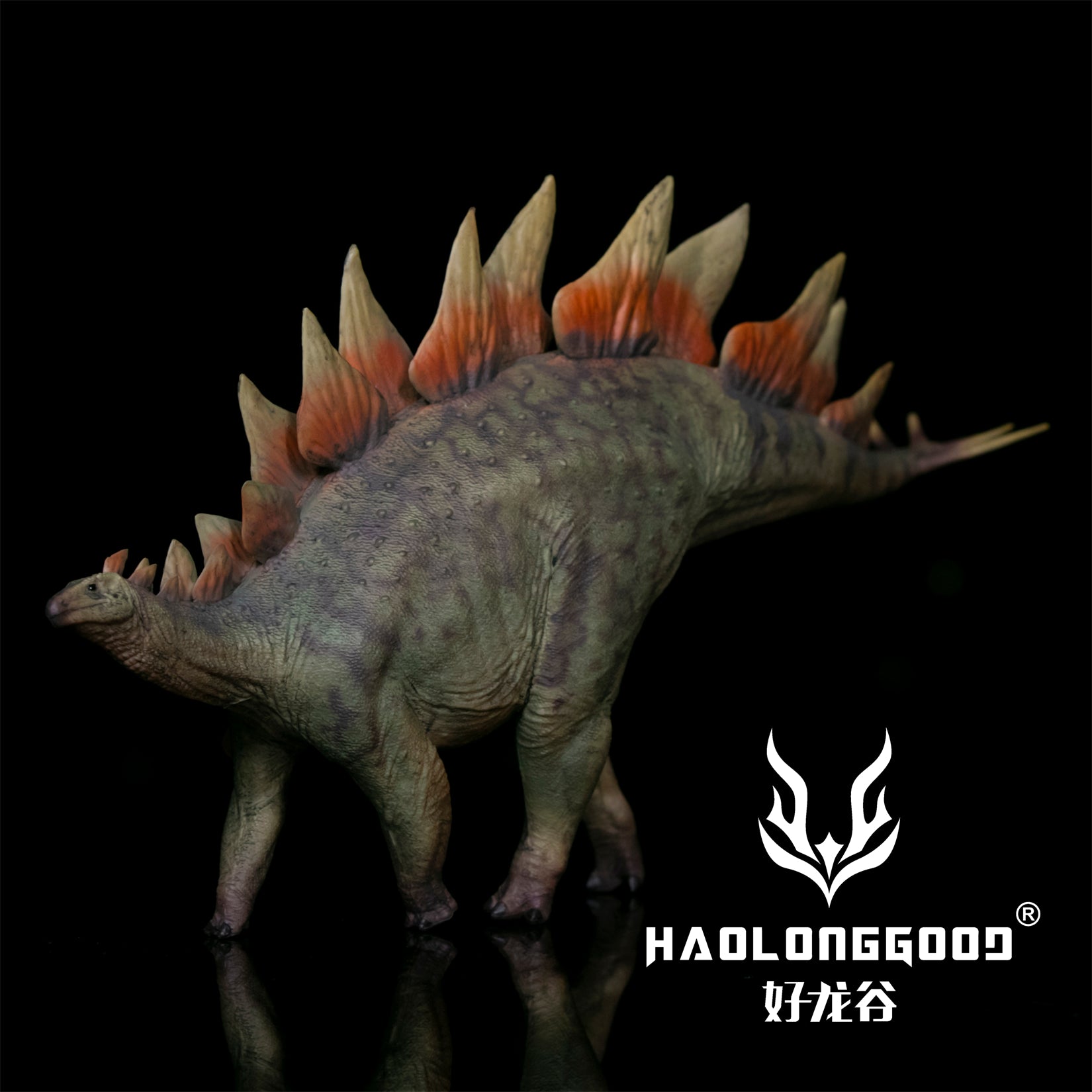 HAOLONGGOOD 1:35 Scale Stegosaurus Model