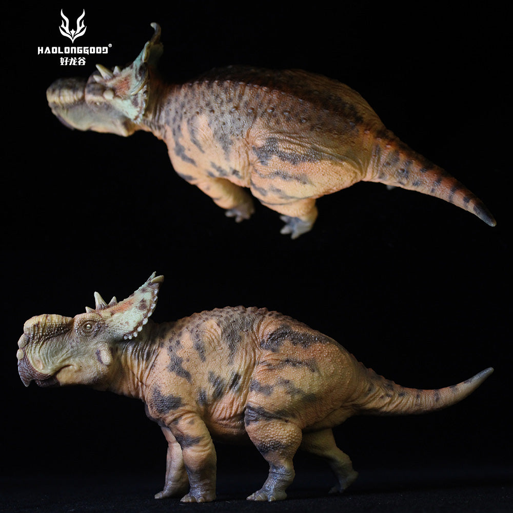 HAOLONGGOOD 1:35 Scale Pachyrhinosaurus Model