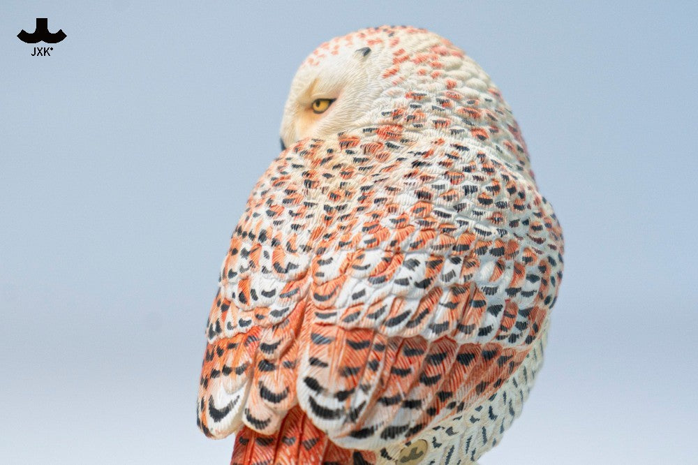 JXK 1:6 Scale Snowy Owl Model