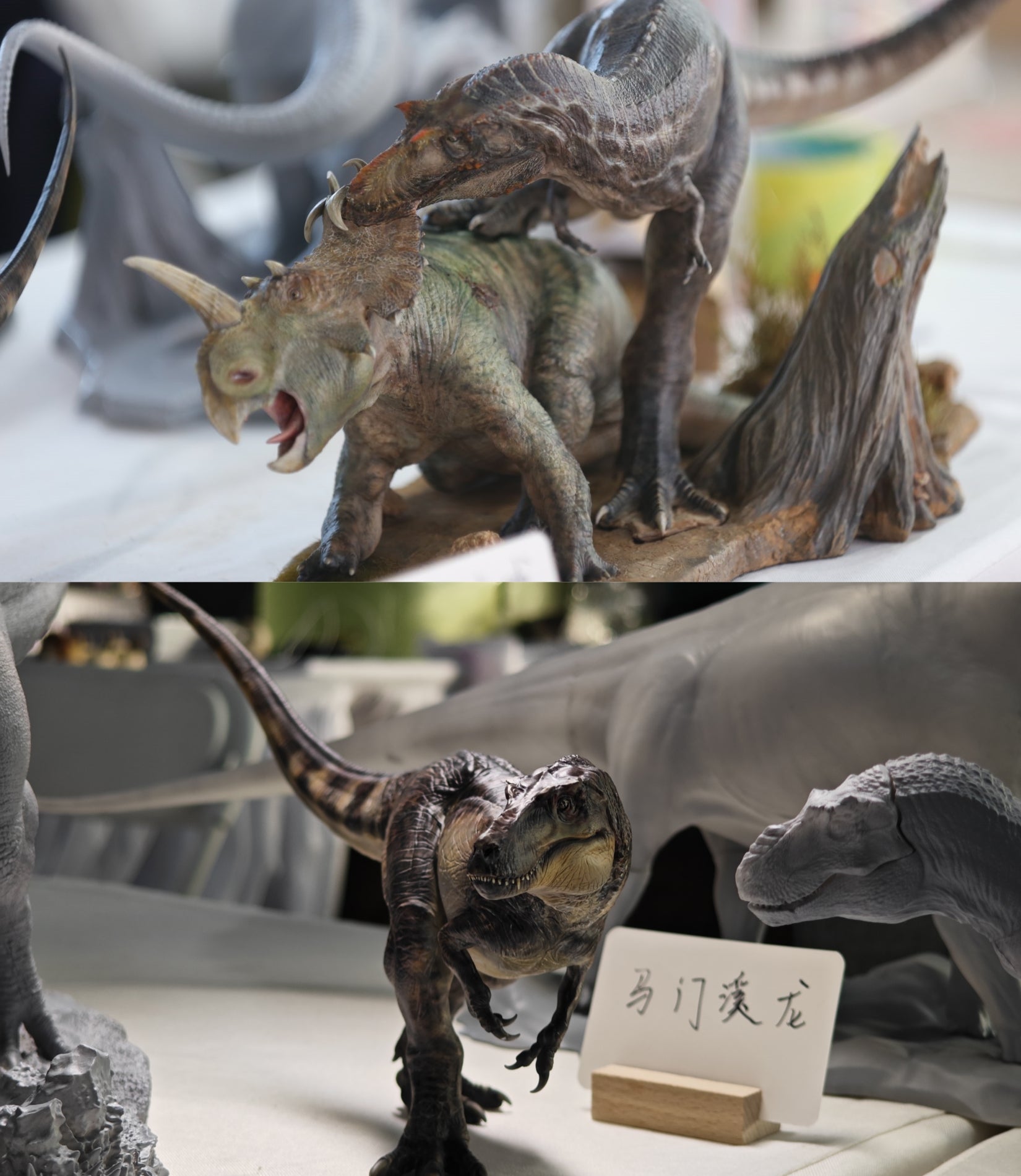 Greenhouse Revolution Studio 1/15 Scale Gorgosaurus Hunt Centrosaurus Scene Model