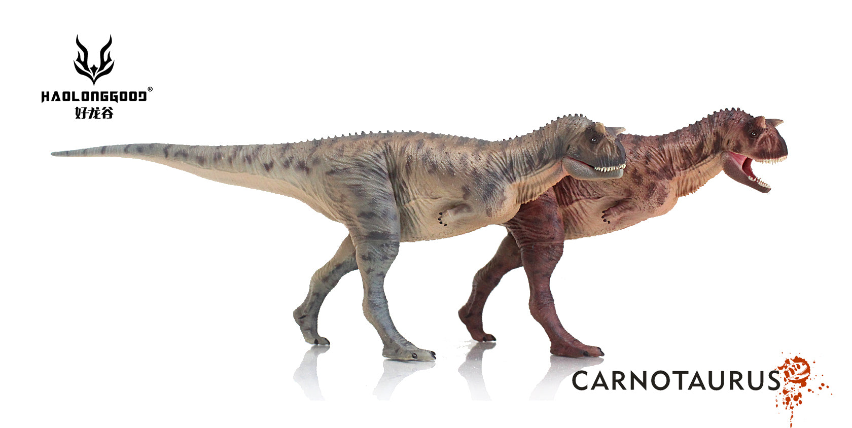 HAOLONGGOOD 1:35 Carnotaurus Model