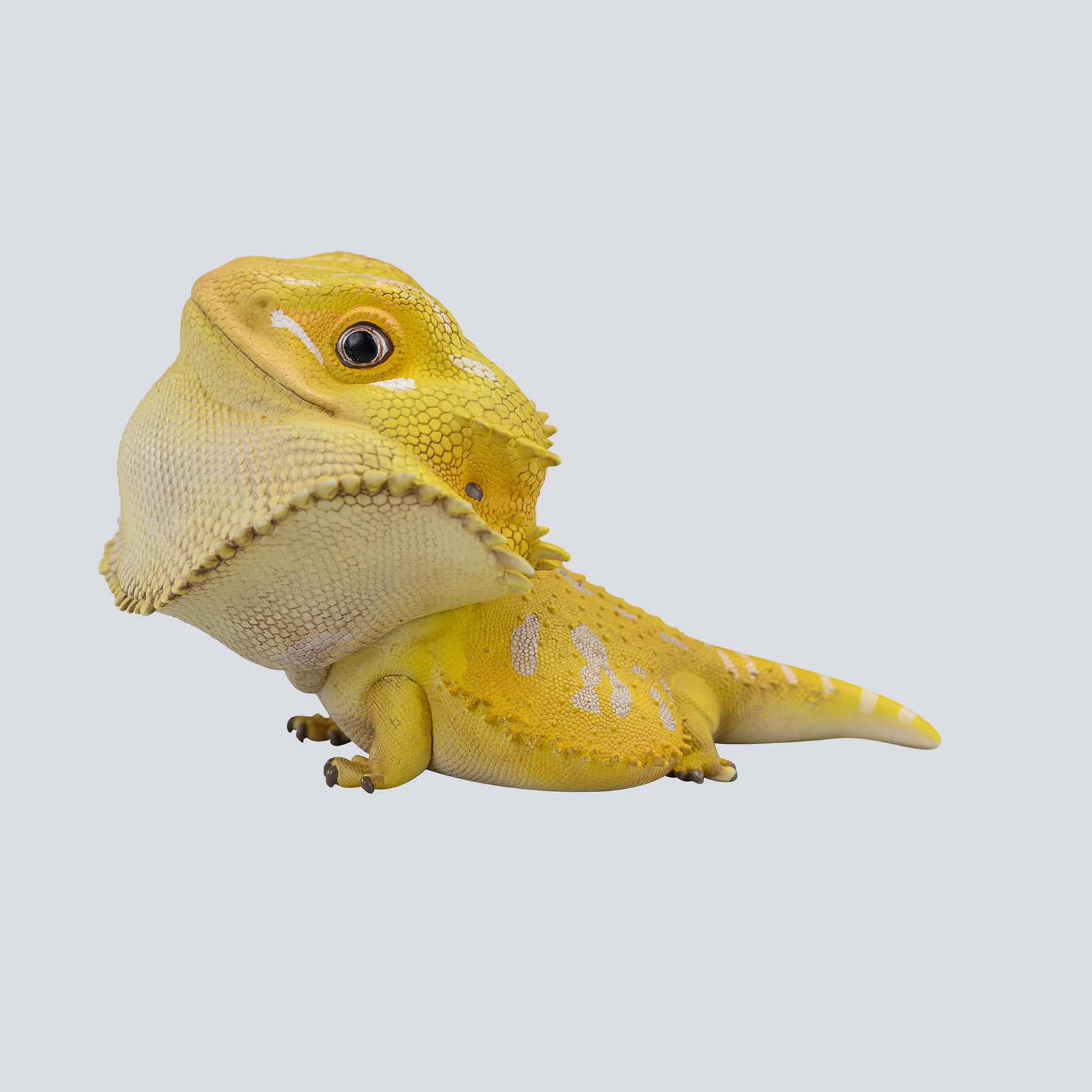Animal Planet 16 Lizard Blind Box Model