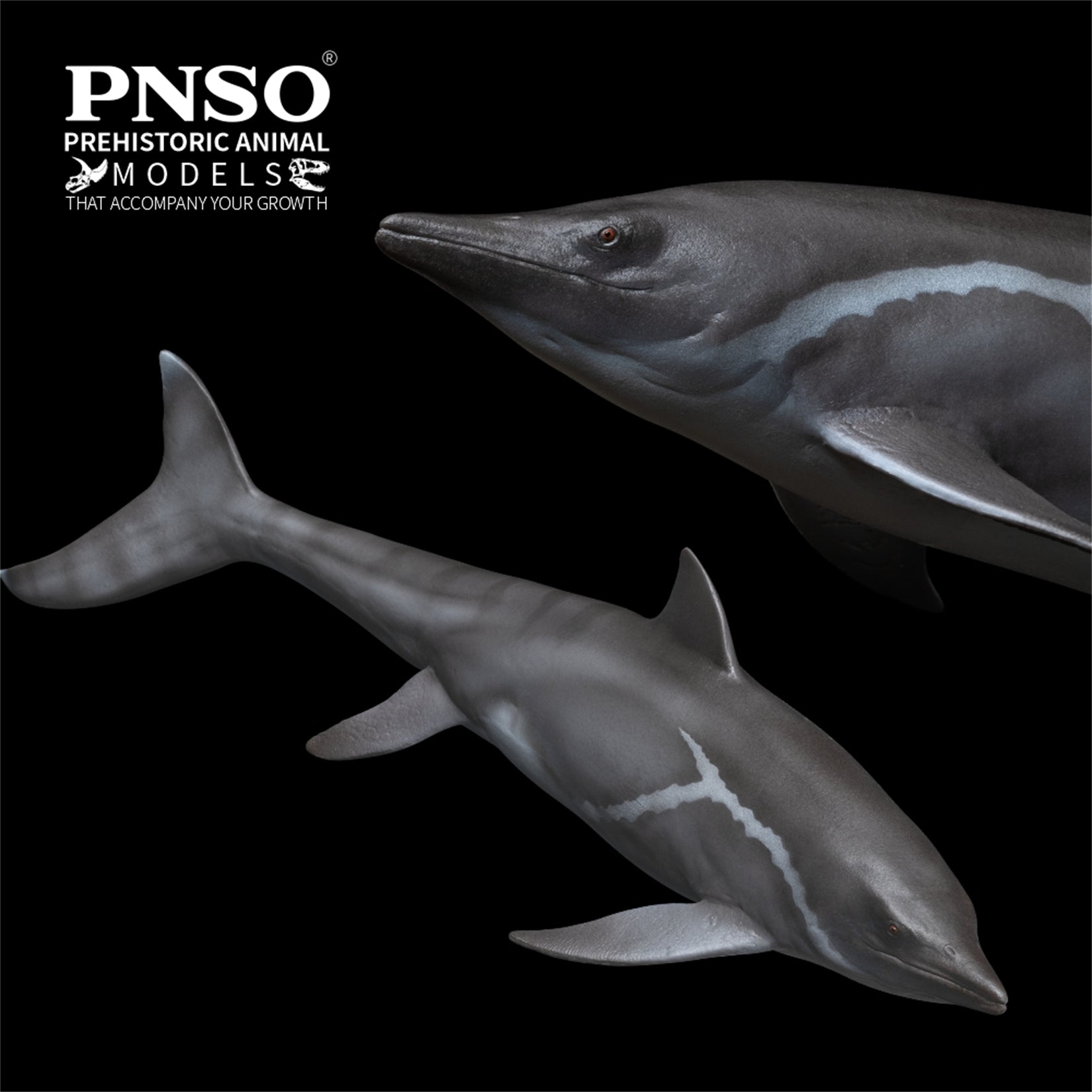 PNSO 92 Yuanlin Guanlingsaurus Model