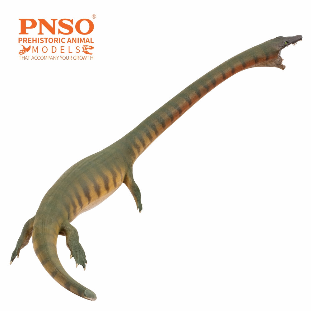 PNSO 91 Xiaochong Dinocephalosaurus Model