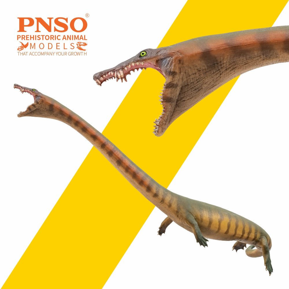 PNSO 91 Xiaochong Dinocephalosaurus Model