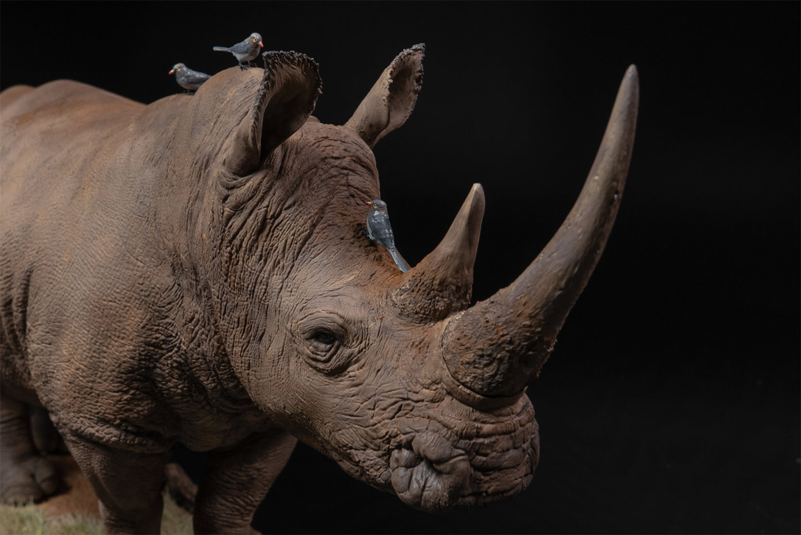 De CLAY Studio White rhinoceros Model