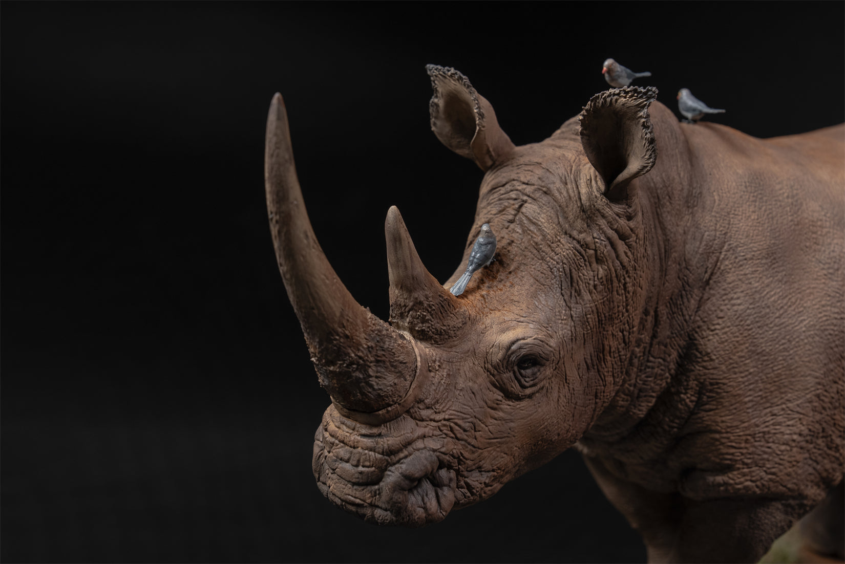 De CLAY Studio White rhinoceros Model