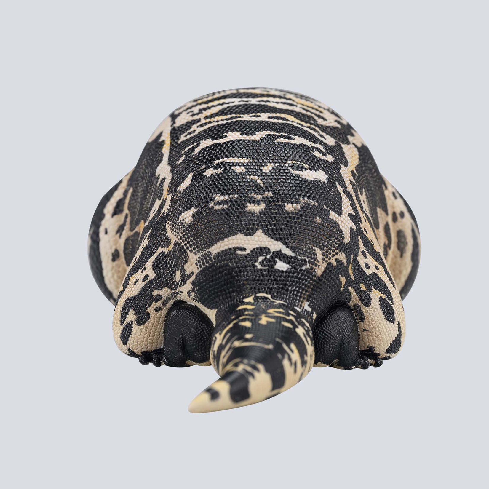 Animal Planet 16 Lizard Blind Box Model