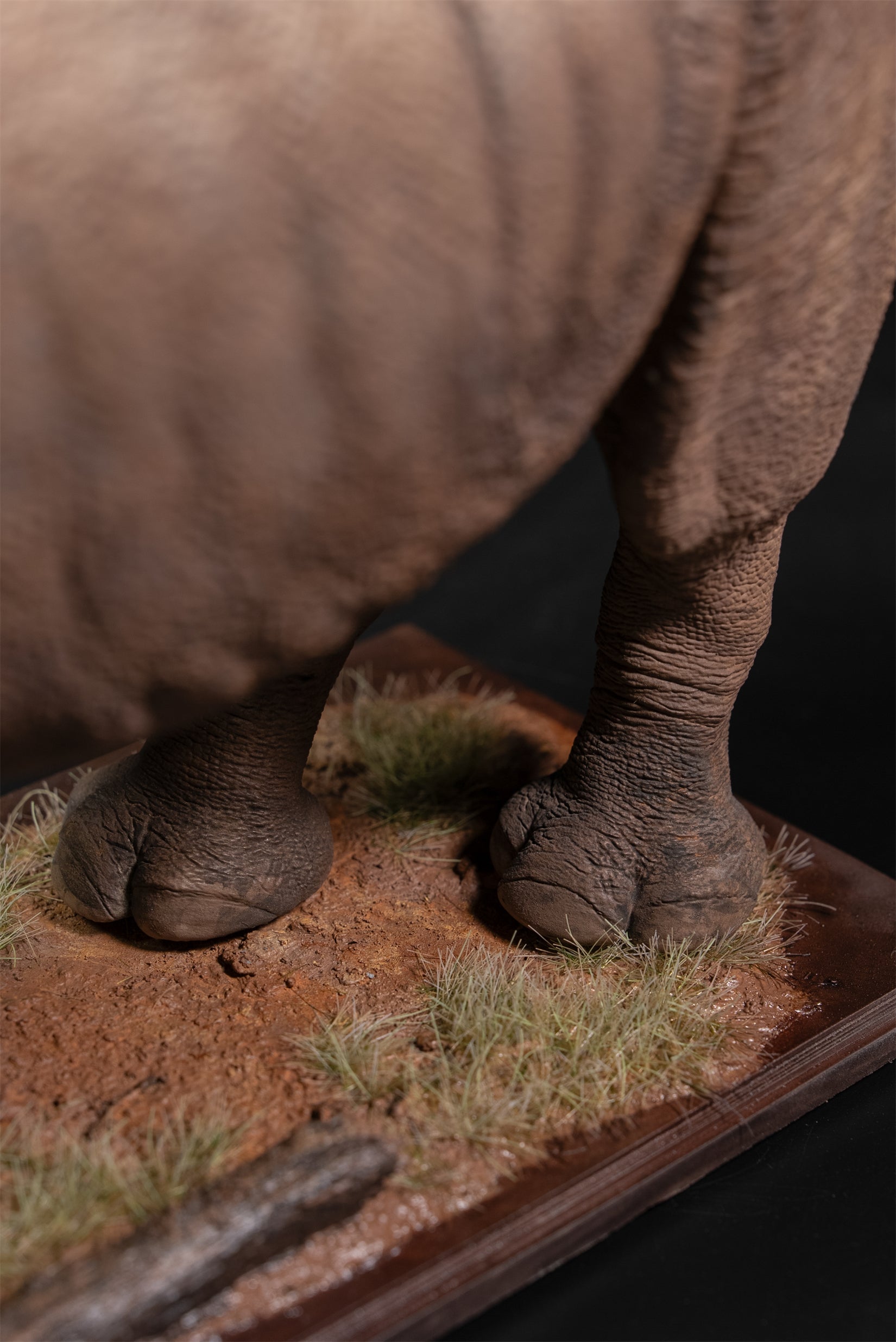 De CLAY Studio White rhinoceros Model