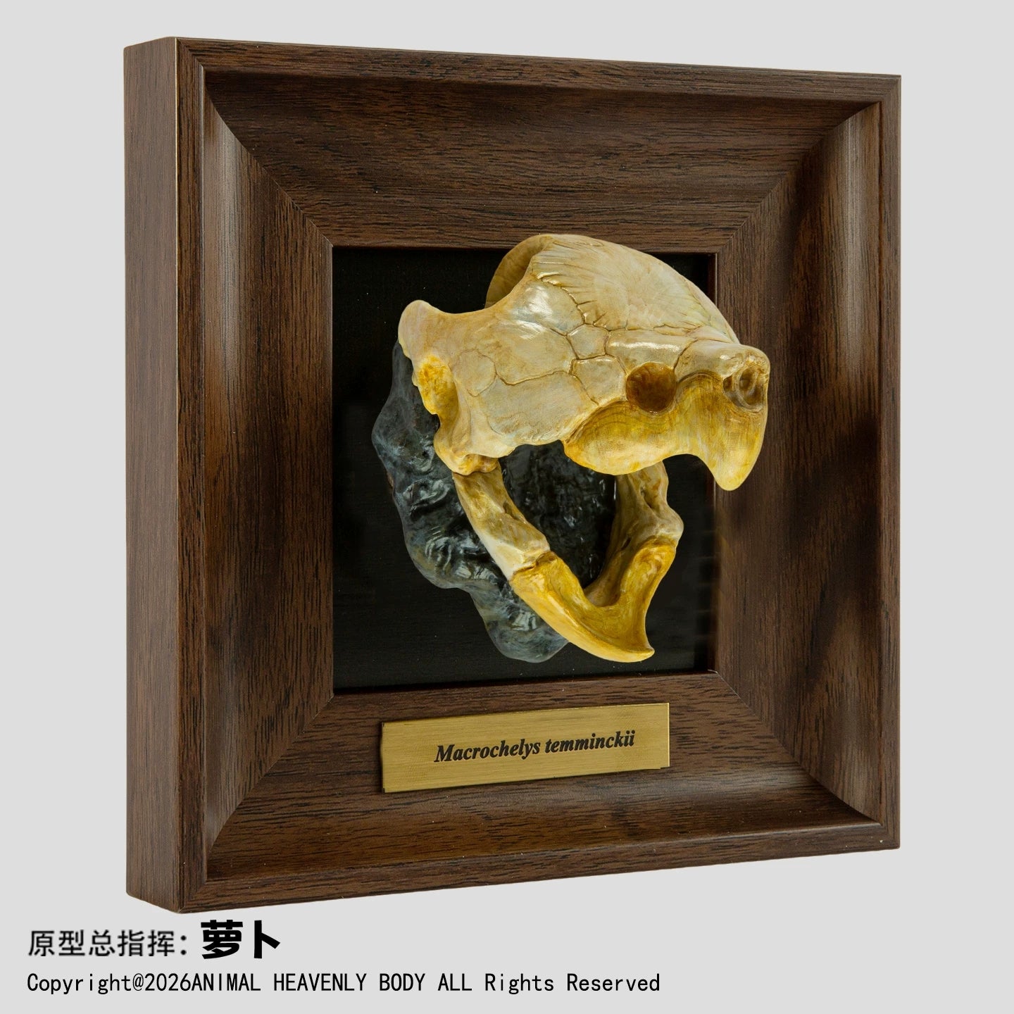 Animal Heavenly Body Frame Reptile Arts Series Volume 1 Model