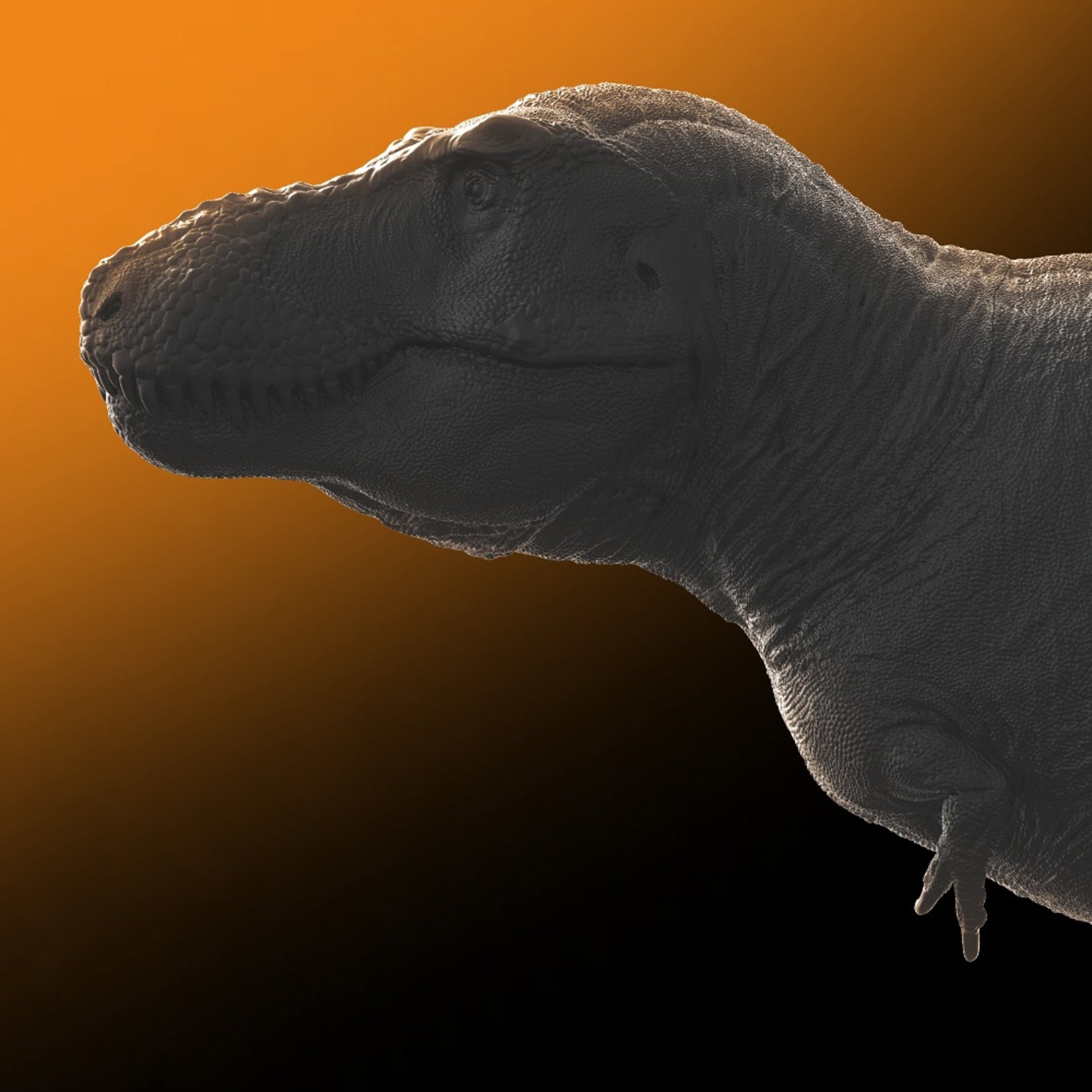 PNSO 18 Cameron The Tyrannosaurus Rex 1:35 Scale Scietific Art Model