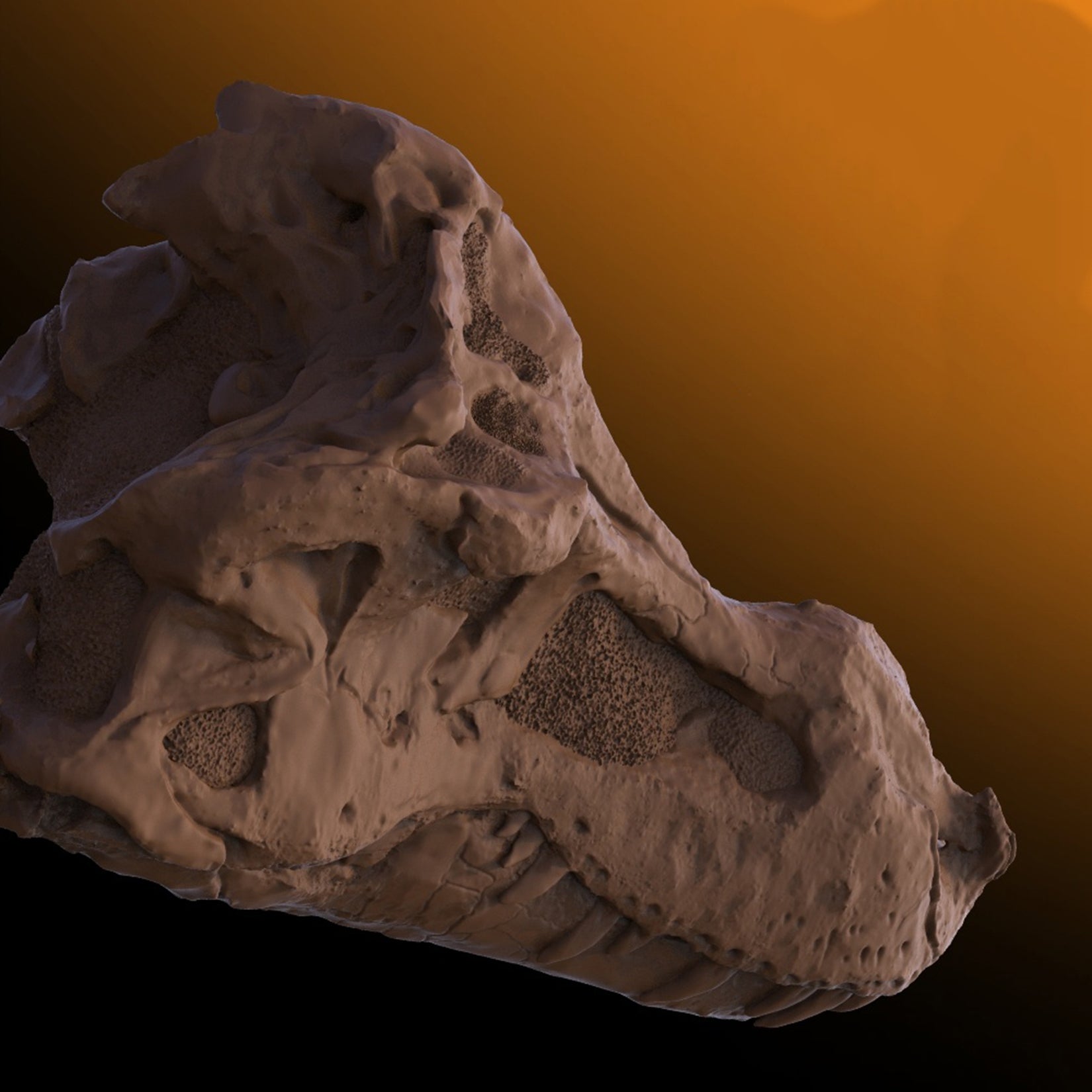 PNSO 18 Cameron The Tyrannosaurus Rex 1:35 Scale Scietific Art Model